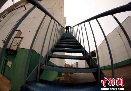 中央儲備糧江西泰和直屬庫有限公司保管員在倉庫巡查?！⊥蹶魂?攝